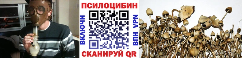 Галлюциногенные грибы Magic Shrooms  Тобольск 